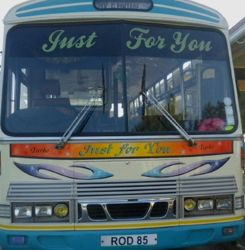 BUS just for you
